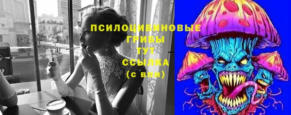 амф Майский