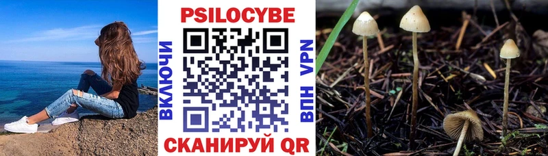 Галлюциногенные грибы Psilocybine cubensis  купить закладку  Янаул 