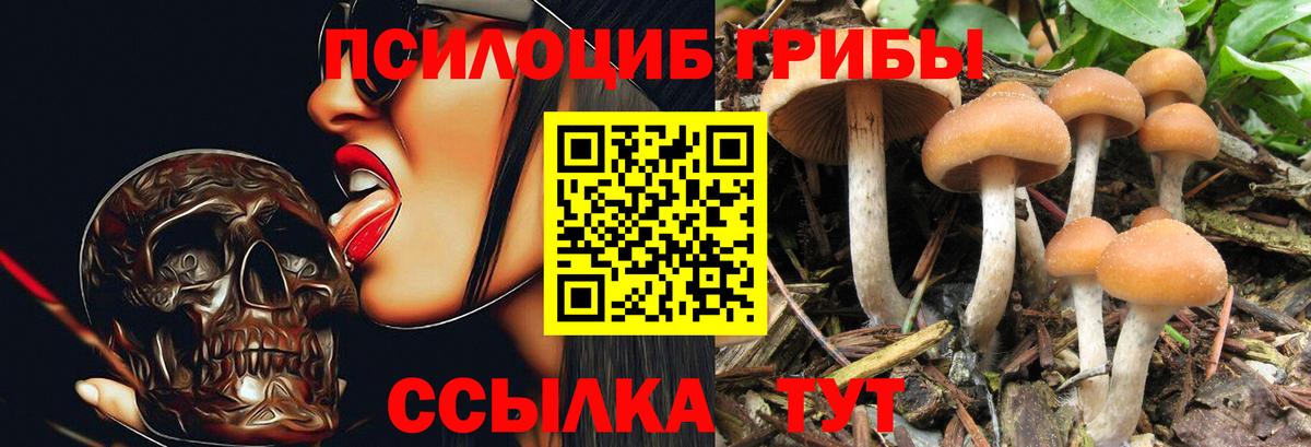 Янаул  Псилоцибиновые грибы Magic Shrooms  купить наркотик  Вход с VPN 